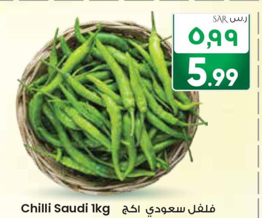  Chilli / Capsicum  in City Flower in KSA, Saudi Arabia, Saudi - Sakaka
