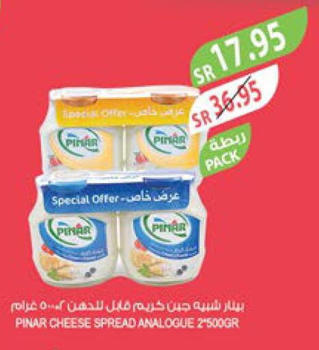 PINAR Cream Cheese  in Farm  in KSA, Saudi Arabia, Saudi - Al Bahah