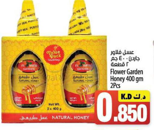  Honey  in مانجو هايبرماركت in الكويت - محافظة الجهراء