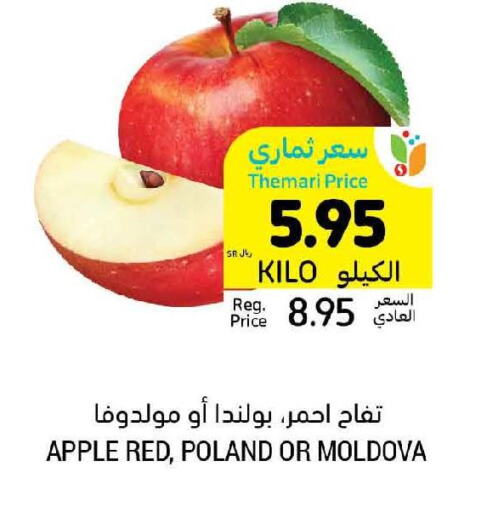  Apples  in أسواق التميمي in مملكة العربية السعودية, السعودية, سعودية - بريدة