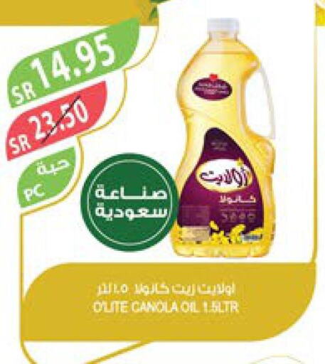 Olite Canola Oil  in Farm  in KSA, Saudi Arabia, Saudi - Qatif