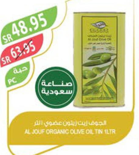  Olive Oil  in Farm  in KSA, Saudi Arabia, Saudi - Sakaka
