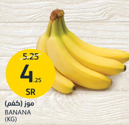  Banana  in AlJazera Shopping Center in KSA, Saudi Arabia, Saudi - Riyadh