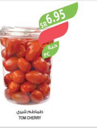 Tomato  in المزرعة in مملكة العربية السعودية, السعودية, سعودية - عرعر