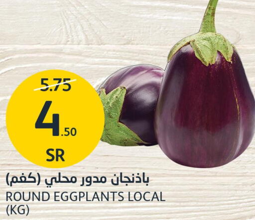 Tomato  in AlJazera Shopping Center in KSA, Saudi Arabia, Saudi - Riyadh