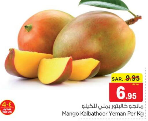 Mango   in نستو in مملكة العربية السعودية, السعودية, سعودية - المجمعة