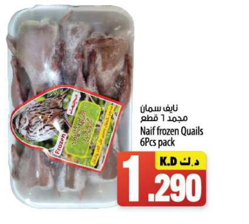 SEARA   in Mango Hypermarket  in Kuwait - Kuwait City