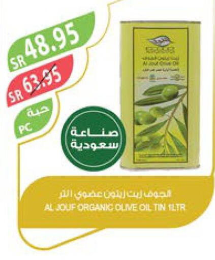  Olive Oil  in Farm  in KSA, Saudi Arabia, Saudi - Jazan