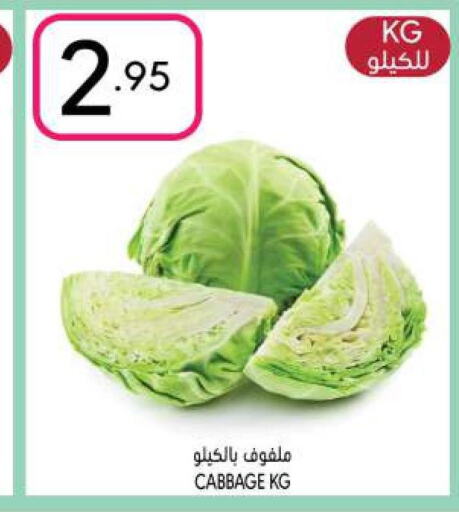  Cabbage  in Manuel Market in KSA, Saudi Arabia, Saudi - Riyadh