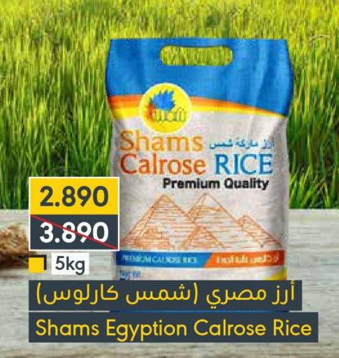 SHAMS Egyptian / Calrose Rice  in المنتزه in البحرين