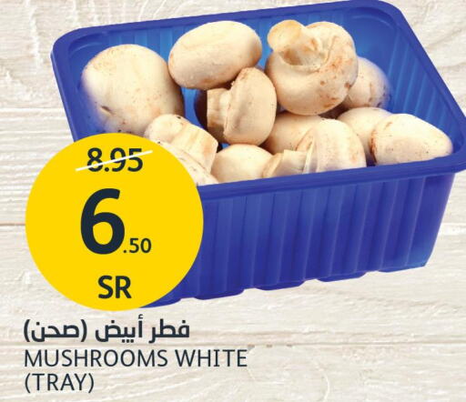  Mushroom  in مركز الجزيرة للتسوق in مملكة العربية السعودية, السعودية, سعودية - الرياض