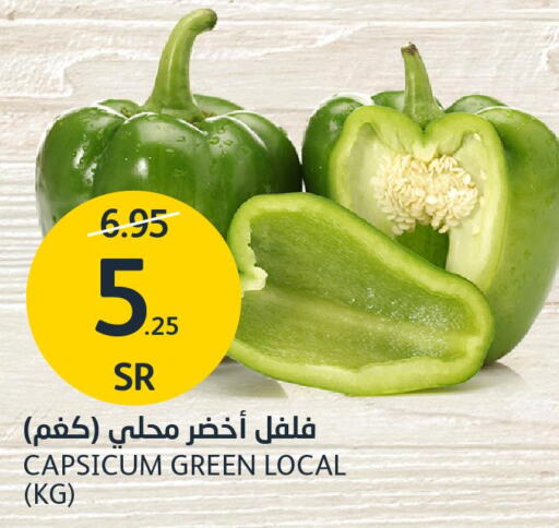  Chilli / Capsicum  in AlJazera Shopping Center in KSA, Saudi Arabia, Saudi - Riyadh