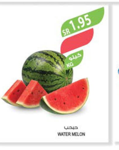  Watermelon  in Farm  in KSA, Saudi Arabia, Saudi - Abha