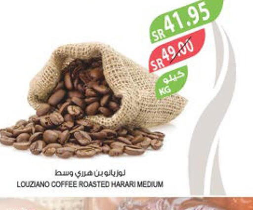  Coffee  in Farm  in KSA, Saudi Arabia, Saudi - Tabuk