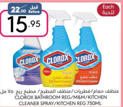 CLOROX Toilet / Drain Cleaner  in Manuel Market in KSA, Saudi Arabia, Saudi - Riyadh