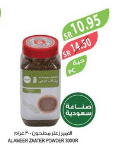  Spices / Masala  in Farm  in KSA, Saudi Arabia, Saudi - Al Bahah