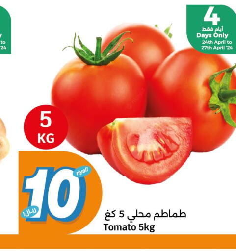  Tomato  in City Hypermarket in Qatar - Al Daayen
