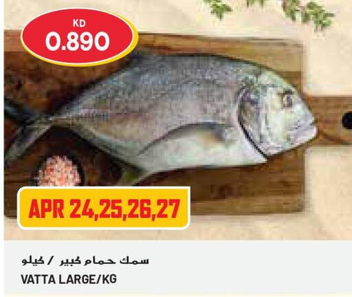  Tuna  in جراند كوستو in الكويت - مدينة الكويت