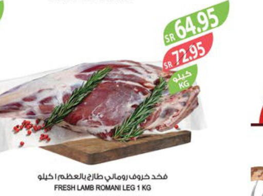  Mutton / Lamb  in المزرعة in مملكة العربية السعودية, السعودية, سعودية - جازان