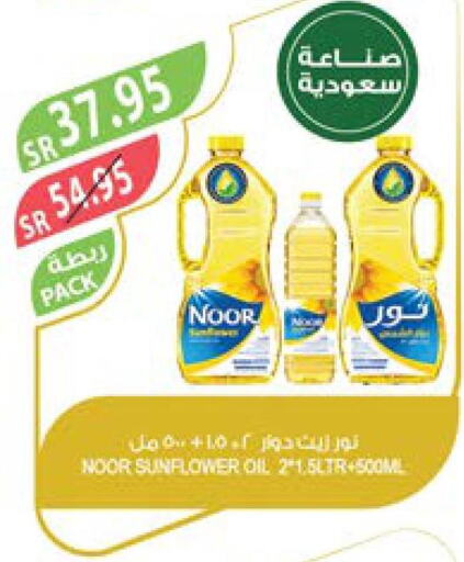 NOOR Sunflower Oil  in المزرعة in مملكة العربية السعودية, السعودية, سعودية - نجران