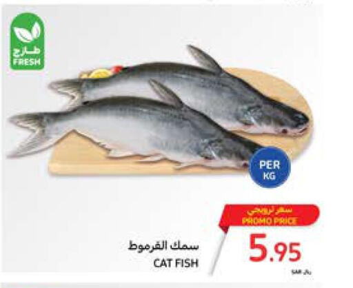  King Fish  in كارفور in مملكة العربية السعودية, السعودية, سعودية - الرياض