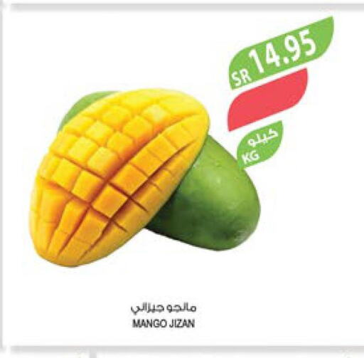 Mango   in المزرعة in مملكة العربية السعودية, السعودية, سعودية - تبوك