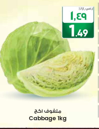  Cabbage  in ستي فلاور in مملكة العربية السعودية, السعودية, سعودية - الجبيل‎