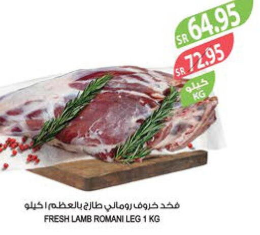  Mutton / Lamb  in المزرعة in مملكة العربية السعودية, السعودية, سعودية - عرعر