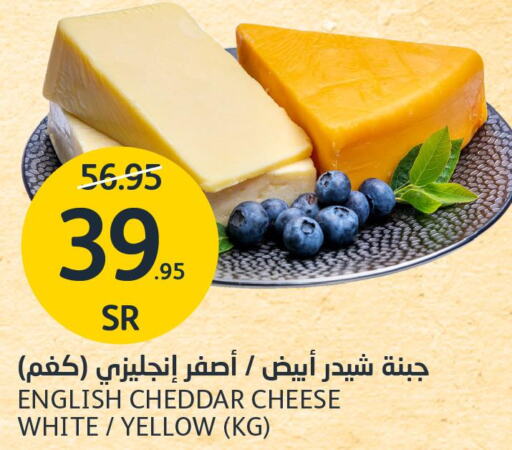  Cheddar Cheese  in AlJazera Shopping Center in KSA, Saudi Arabia, Saudi - Riyadh