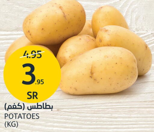  Potato  in AlJazera Shopping Center in KSA, Saudi Arabia, Saudi - Riyadh