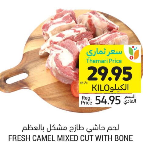  Camel meat  in أسواق التميمي in مملكة العربية السعودية, السعودية, سعودية - عنيزة
