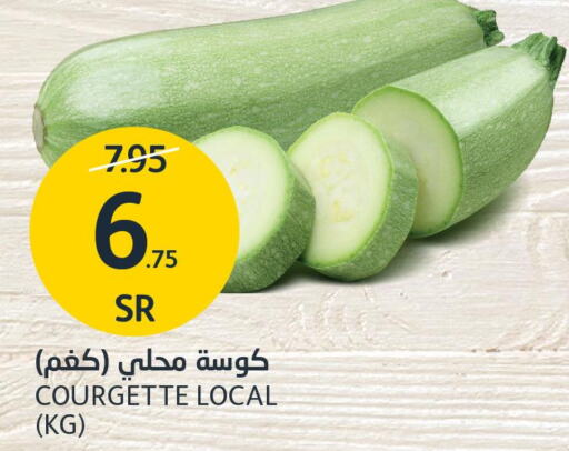  Zucchini  in مركز الجزيرة للتسوق in مملكة العربية السعودية, السعودية, سعودية - الرياض