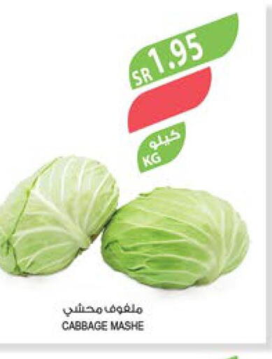  Cabbage  in Farm  in KSA, Saudi Arabia, Saudi - Al Khobar