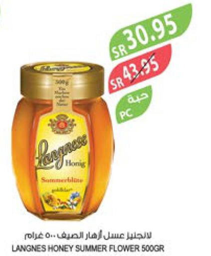  Honey  in Farm  in KSA, Saudi Arabia, Saudi - Abha