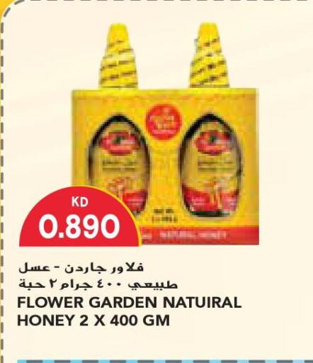  Honey  in Grand Costo in Kuwait - Ahmadi Governorate