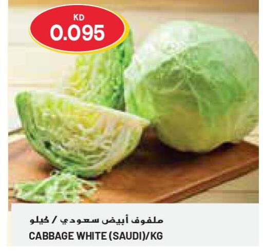  Cabbage  in Grand Costo in Kuwait - Kuwait City