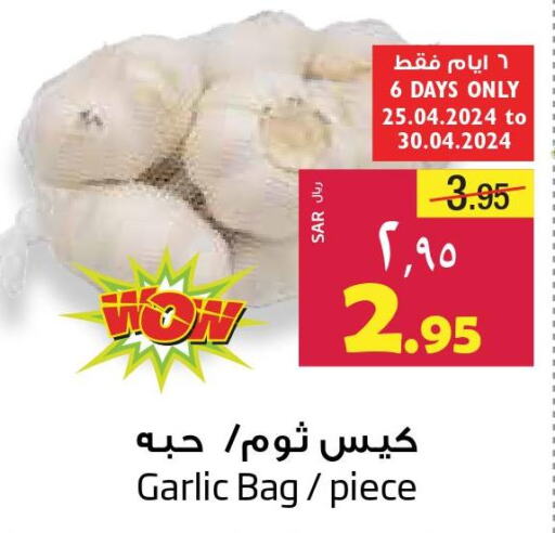  Garlic  in Layan Hyper in KSA, Saudi Arabia, Saudi - Dammam