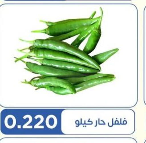  Chilli / Capsicum  in جمعية اشبيلية التعاونية in الكويت - مدينة الكويت