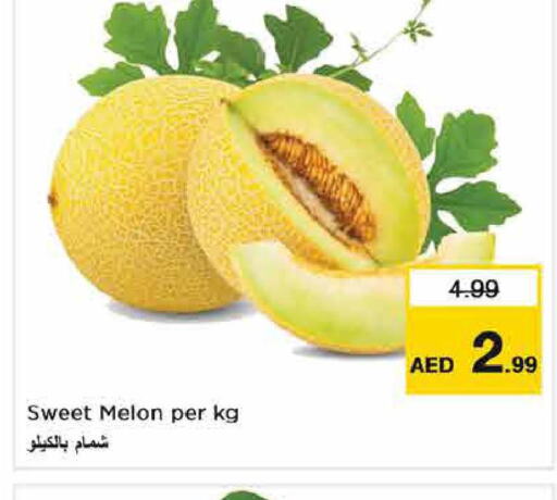  Sweet melon  in Last Chance  in UAE - Fujairah