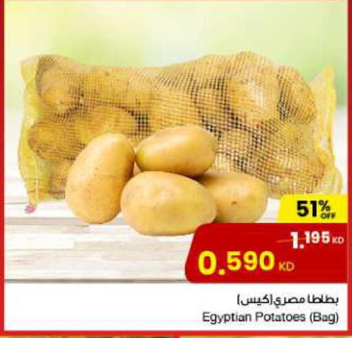  Potato  in مركز سلطان in الكويت - محافظة الأحمدي