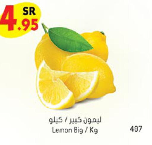 Mango   in Bin Dawood in KSA, Saudi Arabia, Saudi - Ta'if