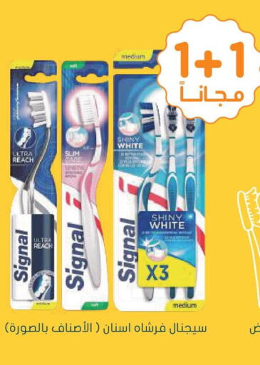 SIGNAL Toothbrush  in  النهدي in مملكة العربية السعودية, السعودية, سعودية - تبوك