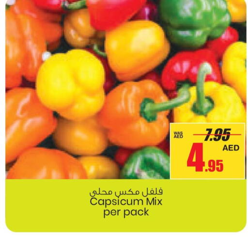  Chilli / Capsicum  in Armed Forces Cooperative Society (AFCOOP) in UAE - Abu Dhabi