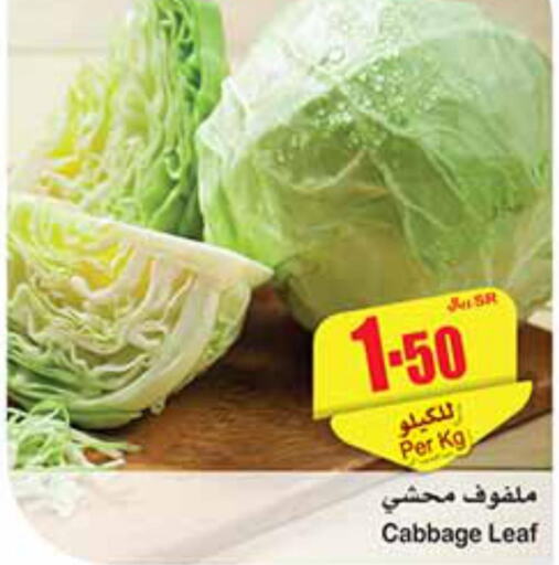  Cabbage  in أسواق عبد الله العثيم in مملكة العربية السعودية, السعودية, سعودية - الجبيل‎