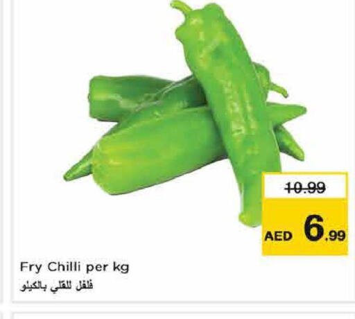  Chilli / Capsicum  in لاست تشانس in الإمارات العربية المتحدة , الامارات - ٱلْفُجَيْرَة‎
