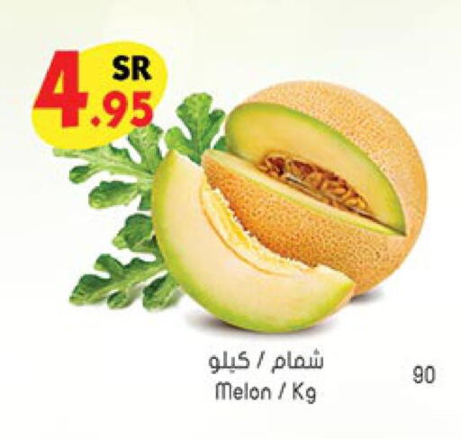  Sweet melon  in Bin Dawood in KSA, Saudi Arabia, Saudi - Mecca