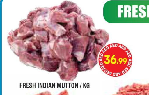  Mutton / Lamb  in Home Fresh Supermarket in UAE - Abu Dhabi