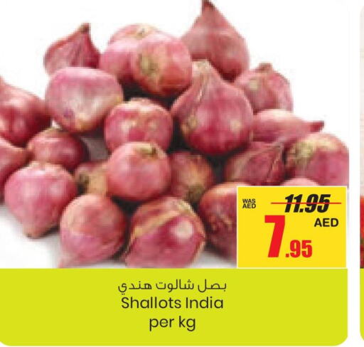  Onion  in Armed Forces Cooperative Society (AFCOOP) in UAE - Abu Dhabi