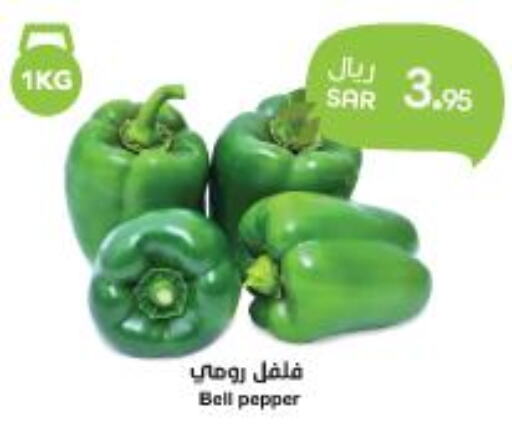  Chilli / Capsicum  in واحة المستهلك in مملكة العربية السعودية, السعودية, سعودية - المنطقة الشرقية