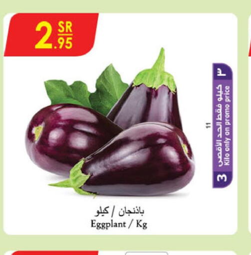  Zucchini  in الدانوب in مملكة العربية السعودية, السعودية, سعودية - تبوك
